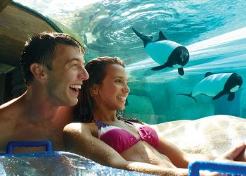 Entretenimento e lazer nas férias de Julho em Orlando - Foto: Divulgação