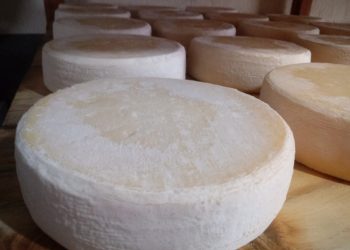 O Queijo de Casca Florida Natural é um queijo artesanal tradicional de Minas Gerais, feito com leite cru de vaca e maturado por no mínimo 30 dias - Foto: Divulgação