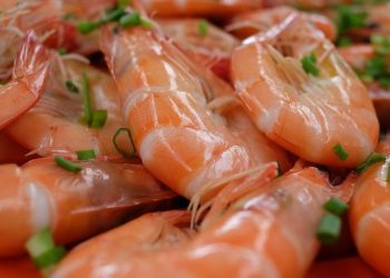 A diversidade de frutos do mar no Festival de Prado - Foto: Divulgação