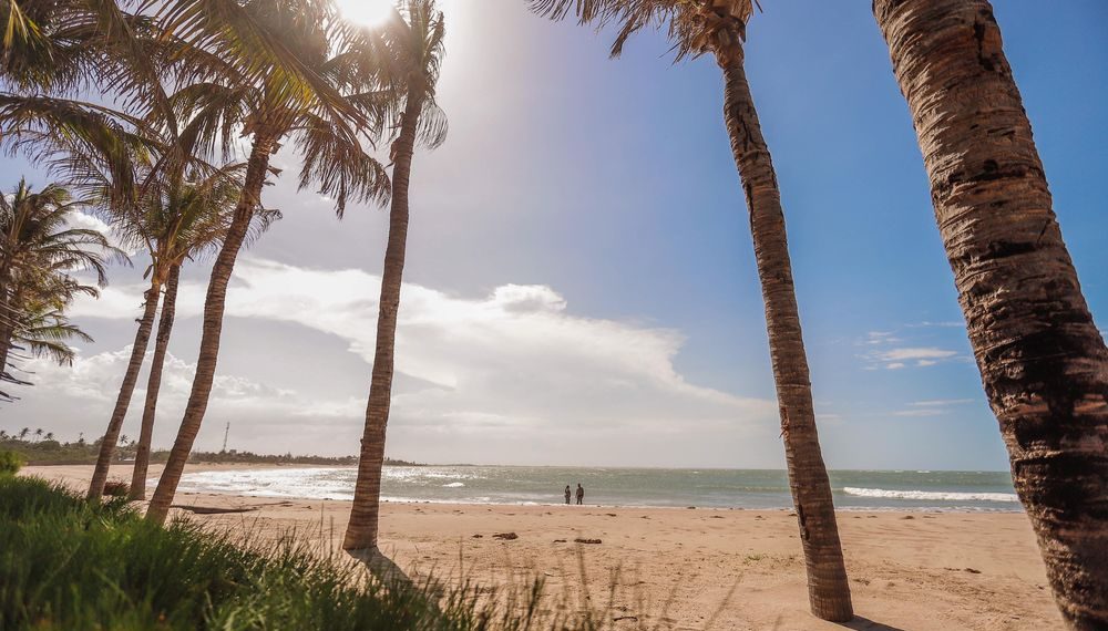 Piauí Sampa destaca oportunidades de investimentos, riquezas naturais, gastronomia e arte