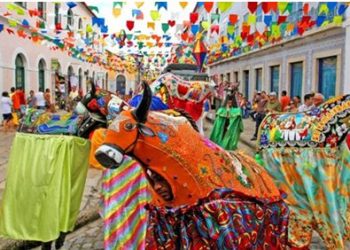 19º Encontro de Miolos de Bumba-bois