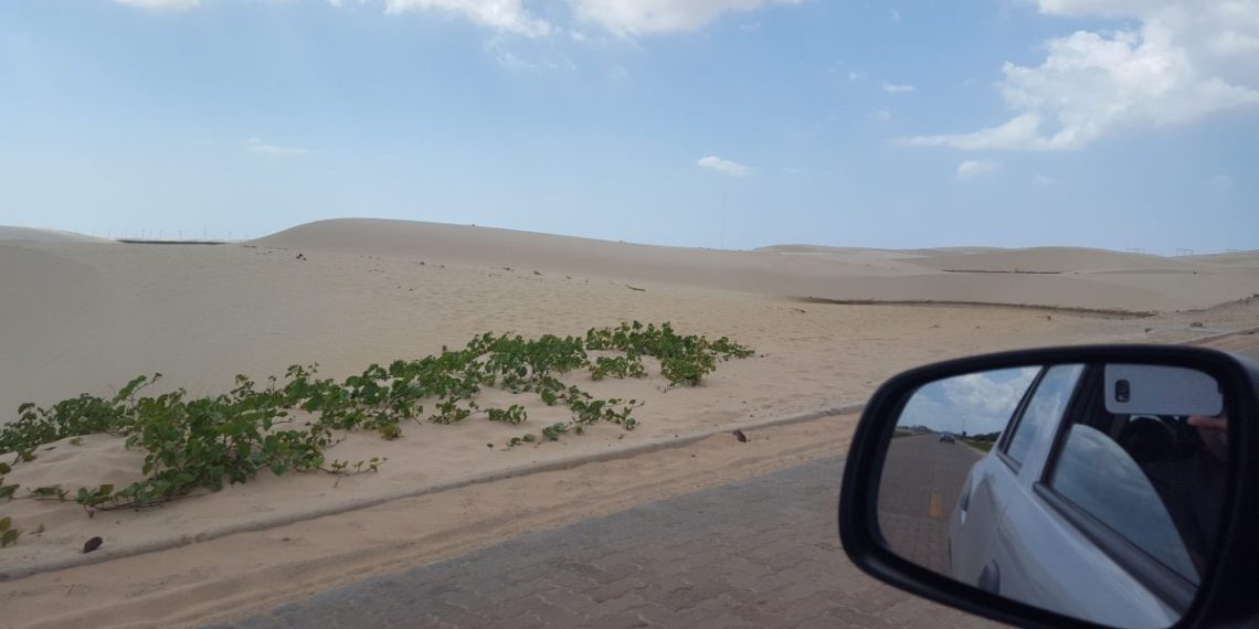 Cresce a busca por seguros de viagens durante os passeios no período de férias escolares - Foto: Gutemberg Bogéa