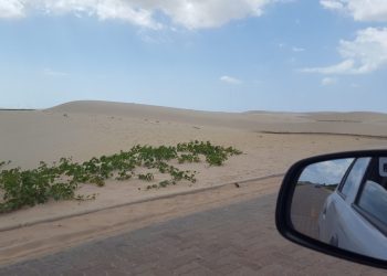 Cresce a busca por seguros de viagens durante os passeios no período de férias escolares - Foto: Gutemberg Bogéa