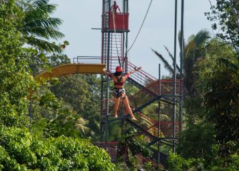 Reserva florestal mantém o ambiente natural do parque preservando a fauna e a flora do local – Foto: Divulgação