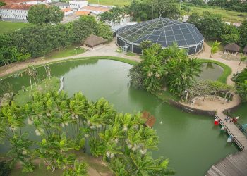 Mangal das Garças, um parque ecológico que reserva um cenário típico da Floresta Amazônica – Foto: Bruna Brandão
