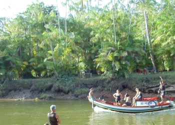 A beleza de uma região cercada de verde, banhada pelas águas do Rio Una - Foto: Reprodução