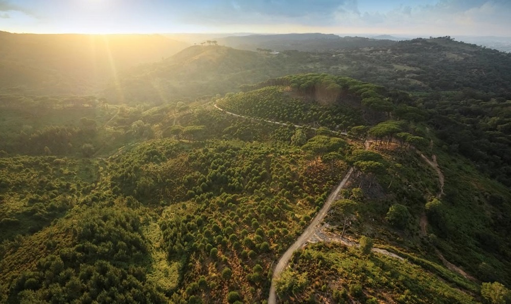 A Tapada Nacional de Mafra oferece uma vista da montanha com trilhas para uma aventura perfeita - Foto: Divulgação
