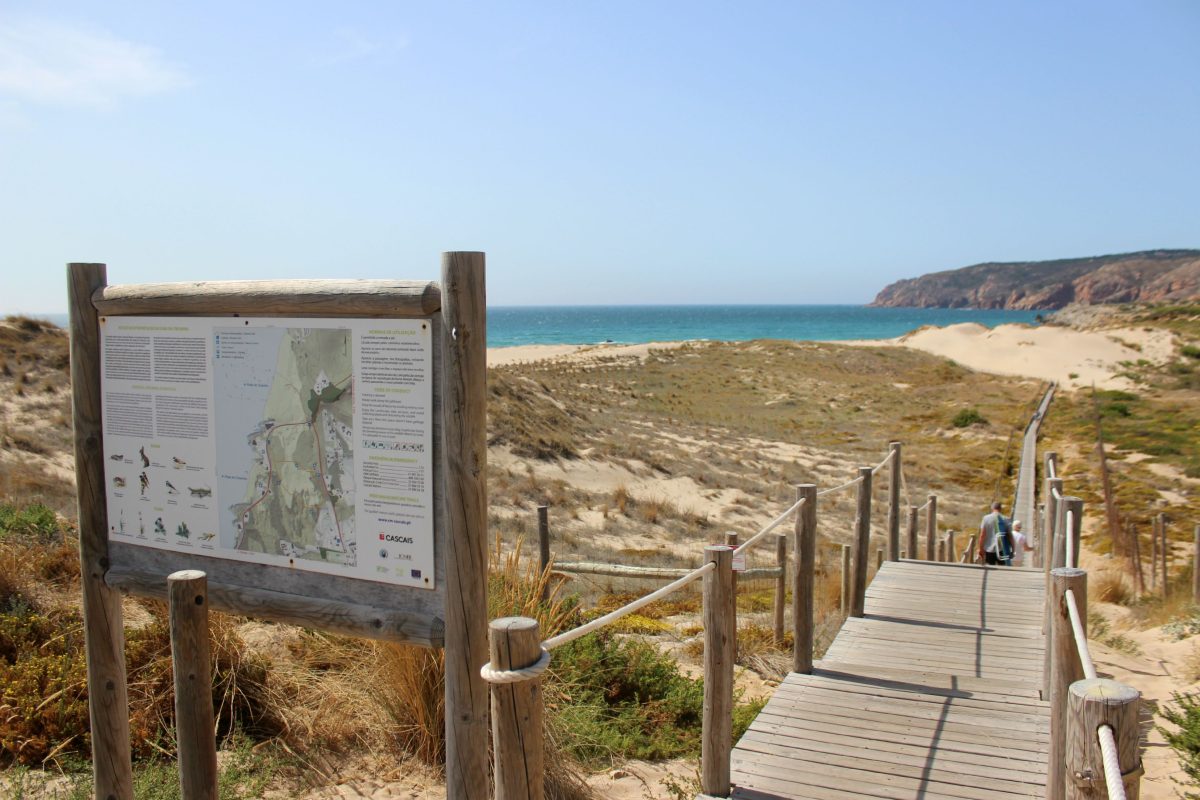 As dunas e o mar no horizonte da praia do Guincho - Foto: Divulgação
