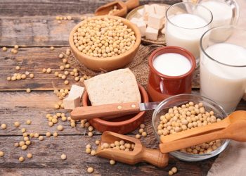 Diversos alimentos são produzidos a partir da soja, como queijo e leite - Foto: Divulgação