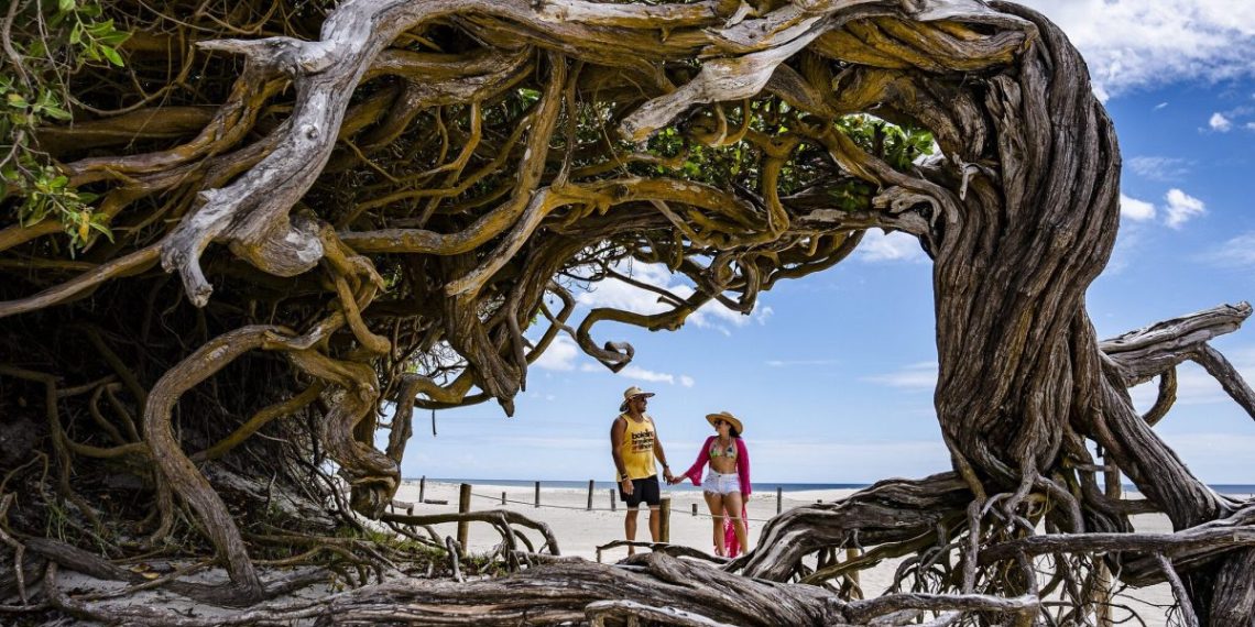 Destinos brasileiros na rota do turismo internacional - Foto: Divulgação