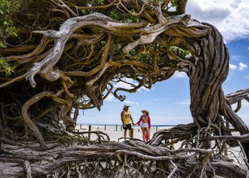 Destinos brasileiros na rota do turismo internacional - Foto: Divulgação