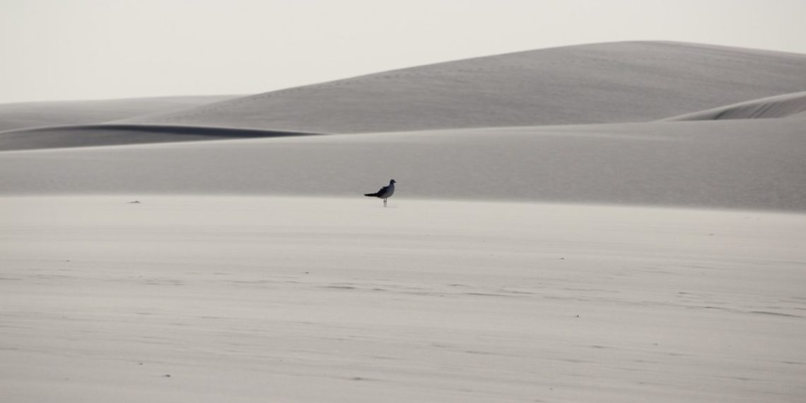Lençóis Maranhenses conquistando cada vez mais o mercado internacional - Foto: Divulgação