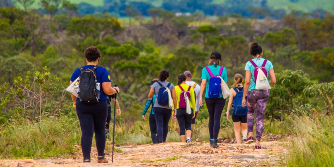 Trilhas de diferentes níveis de dificuldade, perfeitas para quem busca uma conexão com a natureza sem sair de São Paulo - Foto: Divulgação