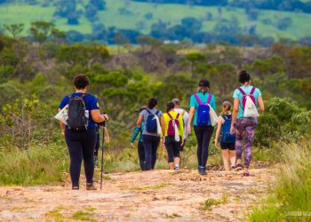 Trilhas de diferentes níveis de dificuldade, perfeitas para quem busca uma conexão com a natureza sem sair de São Paulo - Foto: Divulgação