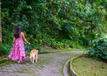 Cercado pela Mata Atlântica, a apenas 50 km de São Paulo capital, programação traz opções para toda a família - Foto: Divulgação