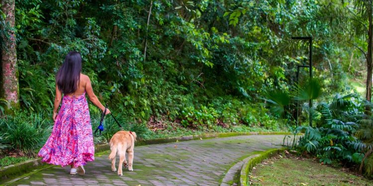 Cercado pela Mata Atlântica, a apenas 50 km de São Paulo capital, programação traz opções para toda a família - Foto: Divulgação