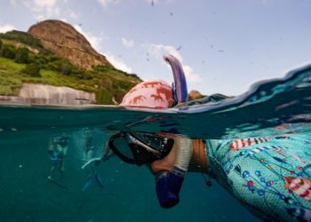 Refúgio de Vida Silvestre do Arquipélago de Alcatrazes criado em 2016 com o objetivo de preservar os ambientes naturais únicos do arquipélago dos Alcatrazes, que abriga mais de 1300 espécies, 100 delas sofrem ameaça de serem extintas - Foto: Reprodução