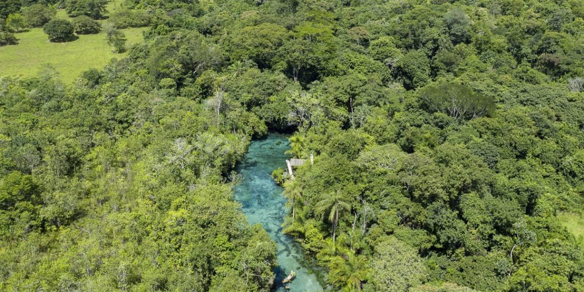 A busca por lugares em meio a natureza é cada vez mais constante no turismo - Foto: Flávio André