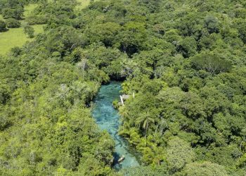 A busca por lugares em meio a natureza é cada vez mais constante no turismo - Foto: Flávio André