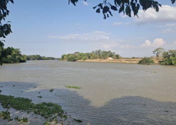 A bacia hidrográfica do rio Mearim é a maior do Estado com 99.058,68 km², equivalente a 29,84% da área total do território maranhense, abrangendo 83 municípios. - Foto: Gutemberg Bogéa