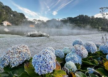 Paisagens de Monte Verde atingidas pela geada nesta sexta-feira - Fotos: Divulgação