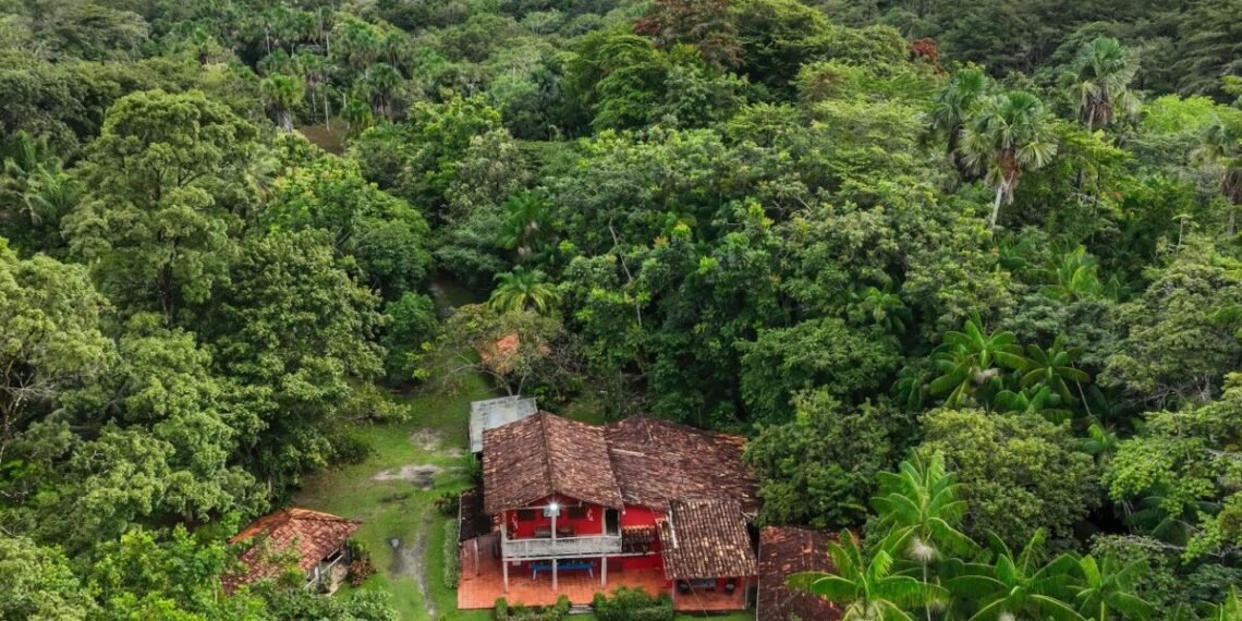 Fazenda Bacuri propõe uma imersão na floresta e nos sabores amazônicos – Foto: João Ramid
