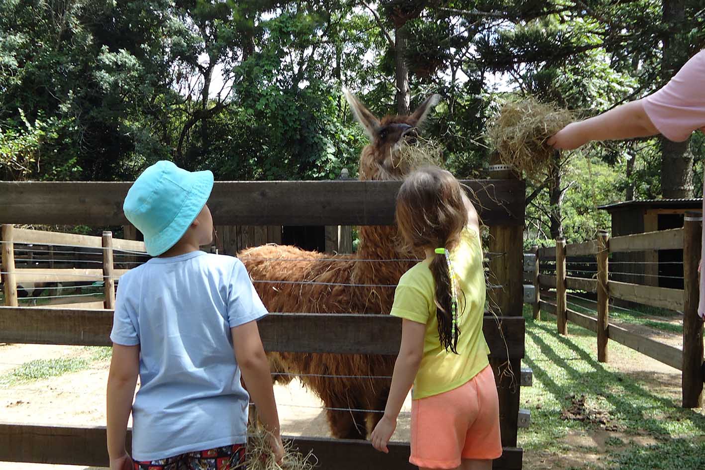 Crianças se diverte na  Fazendinha - Foto: Divulgação