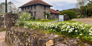 Roteiro em Bento Gonçalves une o charme da Serra Gaúcha a um turismo imersivo - Foto: Divulgação