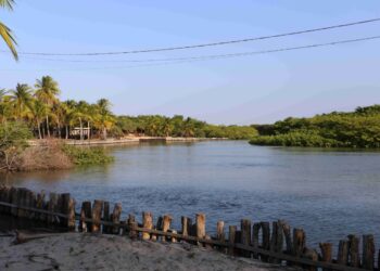 Escondido entre os coqueirais, está o Refúgio do Igarapé, ideal para dias de descanso em meio à natureza – Foto: Danielle Vieira