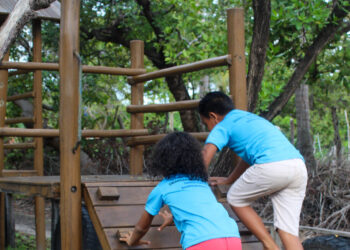 Com estrutura em madeira, playground infantil conta também com escorregador e balanço - Foto: João Soares