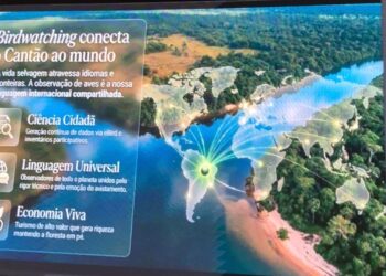 Um segmento que conecta o Cantão, no Tocantins, ao mundo - Foto: Divulgação
