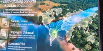 Um segmento que conecta o Cantão, no Tocantins, ao mundo - Foto: Divulgação