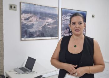 O workshop será conduzido por Vânia Monteiro, jornalista profissional, estrategista digital - foto: Gutemberg Bogéa