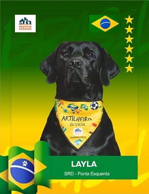 Cães do Patinhas Urbanas viram estrelas do futebol em um álbum de figurinhas autocolantes inspirado na Copa do Mundo - Foto: Vanessa Sallesaro