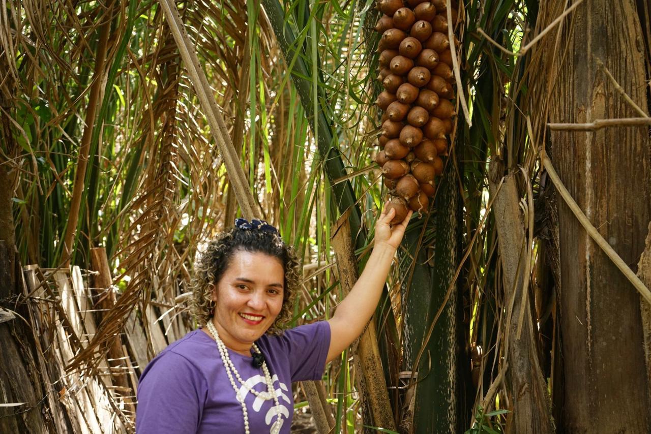  A tradição das quebradeiras de coco inspira novas oportunidades para mulheres do Maranhão - Foto: Ana Angelotti