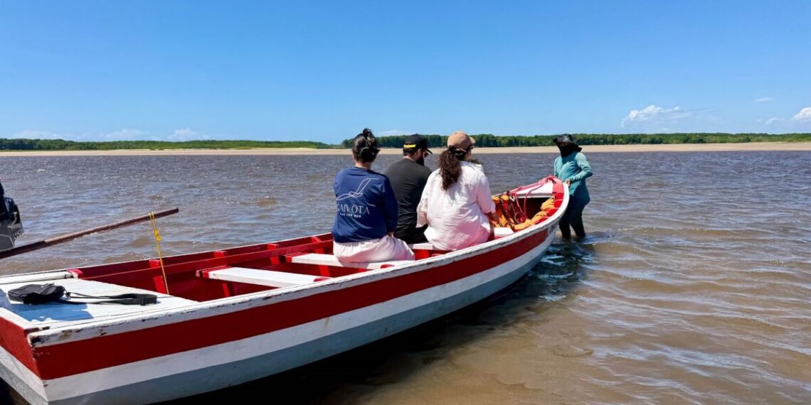 O trajeto de canoa que leva até o Bar da Hora revela parte da beleza e das singularidades da região - Foto: Weslley Alexandre