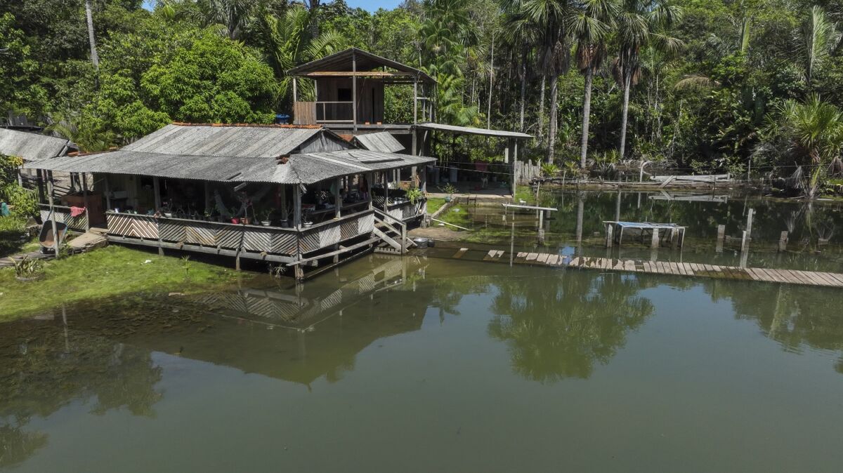 Construída sobre um lago alimentado por águas de nascente, a casa recebe visitantes para uma experiência de turismo de base comunitária, em contato direto com a floresta e o modo de vida amazônico – Foto: João Ramid
