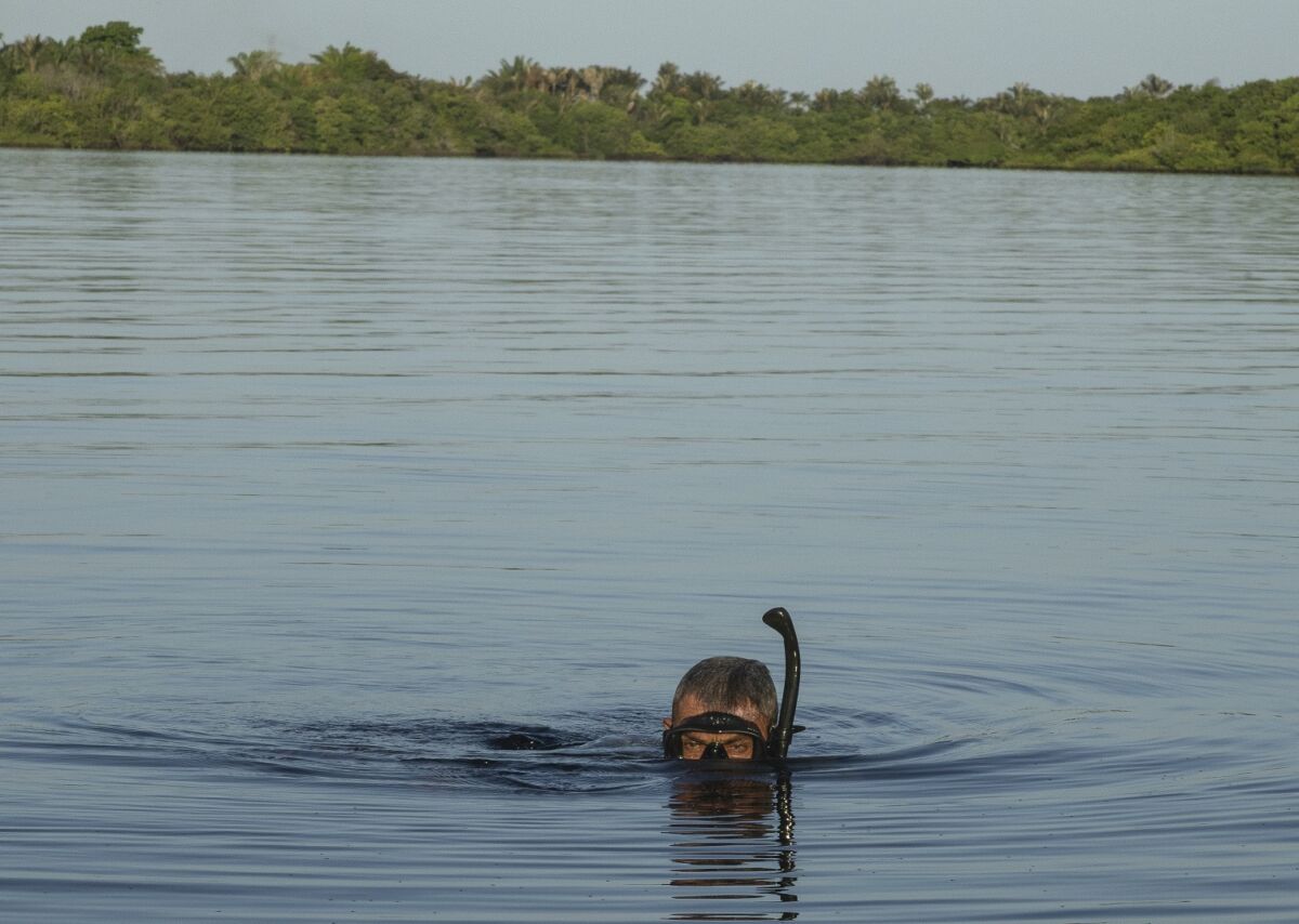 Helder Batista, artista e mergulhador nativo de Juruti Velho, pratica a pesca com arpão, técnica que permite selecionar os peixes e evitar a captura dos menores, aliando saber tradicional e preservação ambiental – Foto: João Ramid