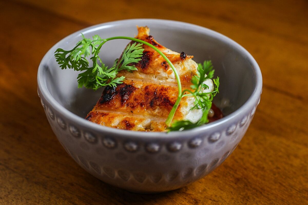 Filhote na brasa com salada de feijão manteiguinha do chef Thiago Castanho - Foto: Divulgação