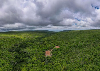 Parceria com a Associação Caatinga, por meio da campanha Adote a Reserva, reforça a conservação da biodiversidade da maior RPPN do Ceará e reconhece o Beach Park como Protetor da Serra das Almas - Foto: Fábio Barong