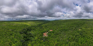 Parceria com a Associação Caatinga, por meio da campanha Adote a Reserva, reforça a conservação da biodiversidade da maior RPPN do Ceará e reconhece o Beach Park como Protetor da Serra das Almas - Foto: Fábio Barong